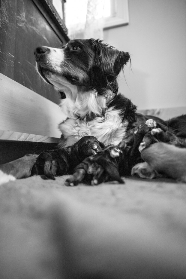 103018_HH_DSC_8544bw