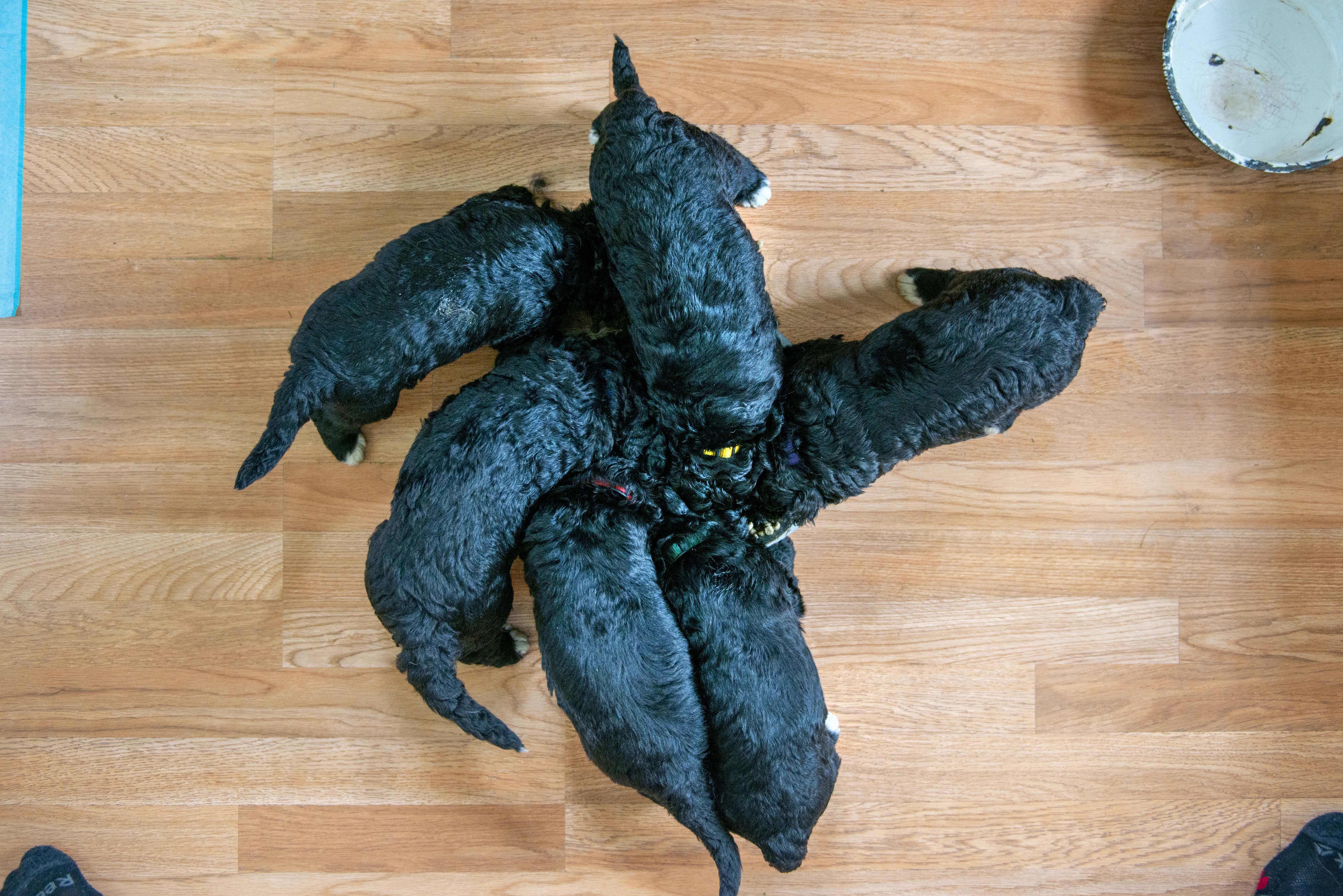 070420_HH_DSC_0974_small