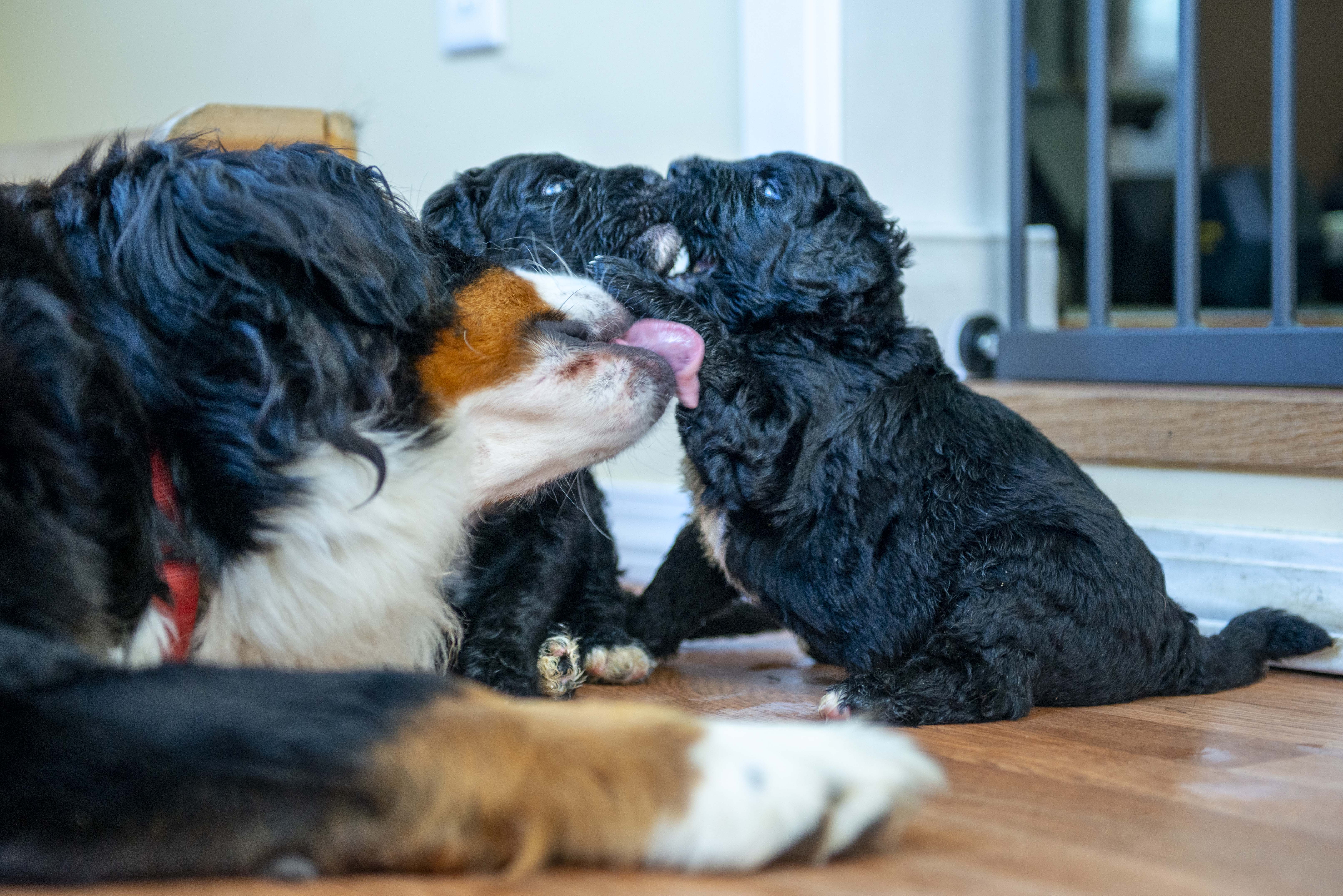 070420_HH_DSC_0998_small